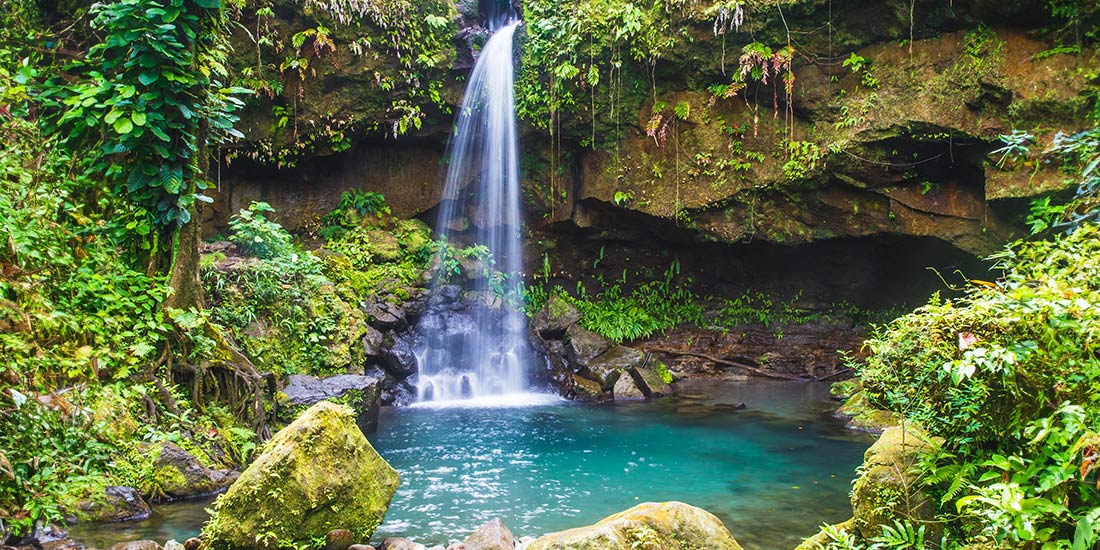 Emerald Pool in the lush rain forest is a beautiful jewel of Dominica in the Caribbean